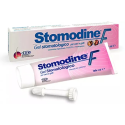 Stomodine F Gel Stomatologico 30ml